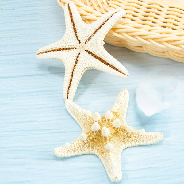 Beautiful Starfish Ornaments