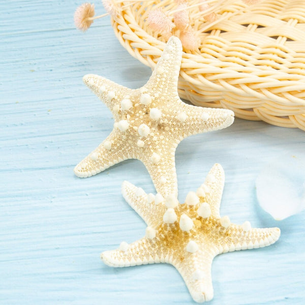 Beautiful Starfish Ornaments