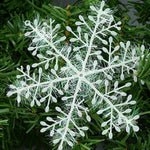 Christmas Tree Snowflake Ornaments