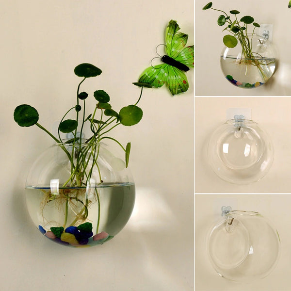 Hydroponic Transparent Hanging Glass Vase