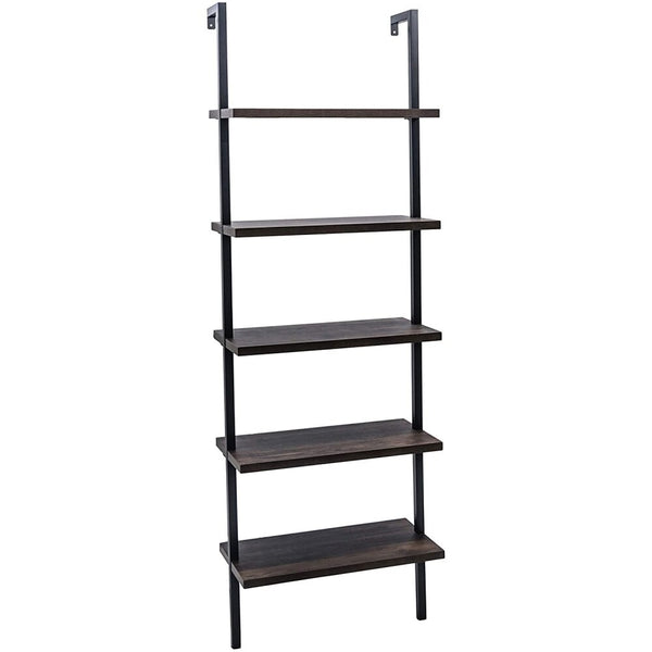 Metal Frame Ladder Book Shelf