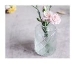 Simple Aesthetic Glass Vase