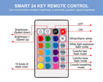 Smart Control RGB LED Dimmable Light