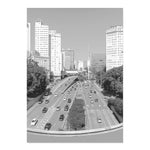 Black and White Brazil Wall Art Canvas