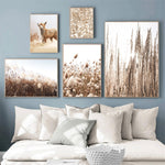 African Desert Landscape Wall Canvas