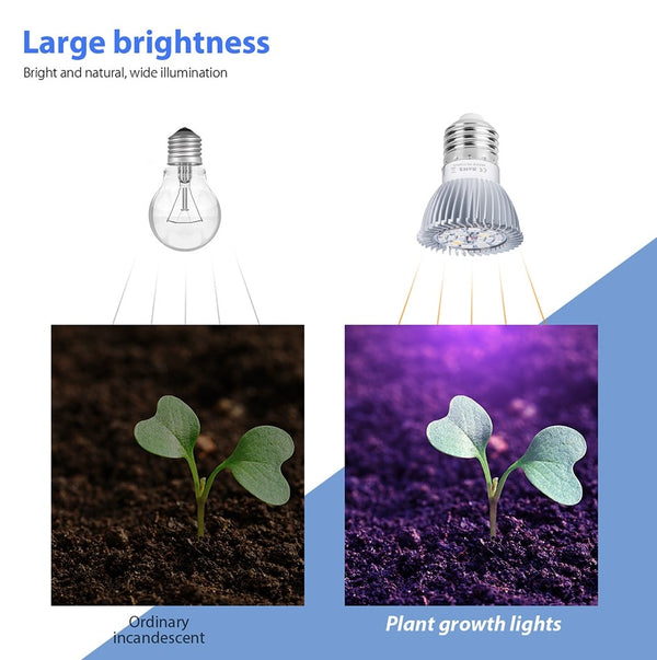 Phyto Lamp Full Spectrum Grow Light