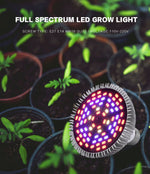 Full Spectrum CFL LED Grow Light