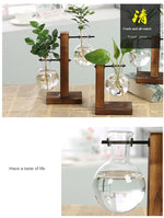 Terrarium Hydroponic with Wooden Stand Plant Vase