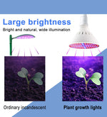 Two Head Full Spectrum LED Grow Light