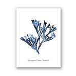 Blue Nautical Wall Art Canvas