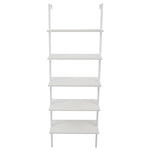 Metal Frame Ladder Book Shelf