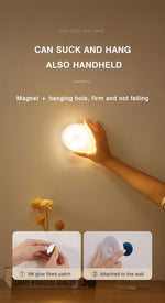 Motion Sensor LED Lamp