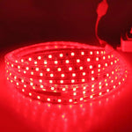 Waterproof LED Strip Light with Power Plug