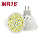 LED Karwen Bulb Spotlight