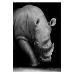 Black and White Animals Wall Art Canvas
