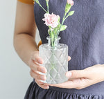 Simple Aesthetic Glass Vase