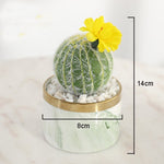 Creative Artificial Succulent Plant