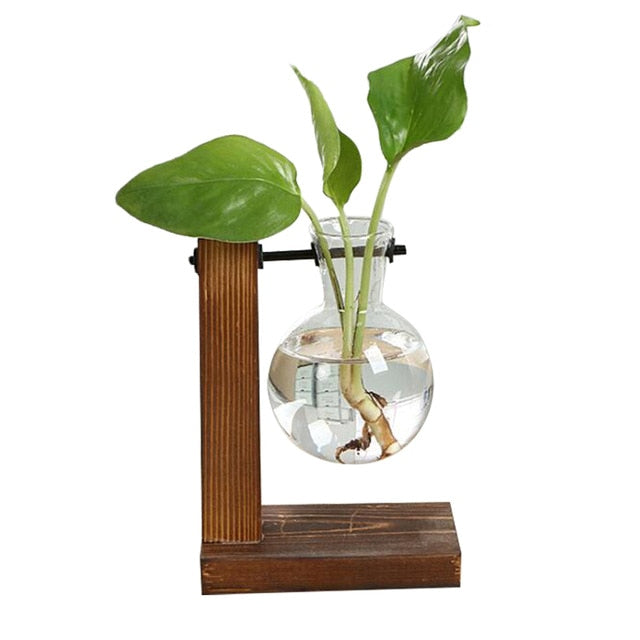 Terrarium Hydroponic with Wooden Stand Plant Vase