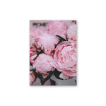 Elegant Peony Flower Wall Art Canvas