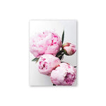 Elegant Peony Flower Wall Art Canvas