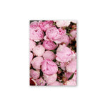 Elegant Peony Flower Wall Art Canvas