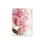 Elegant Peony Flower Wall Art Canvas