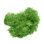 Artificial Landscape Multicolor Moss Grass