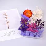 Natural Real Dried Flowers