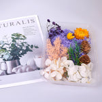 Natural Real Dried Flowers