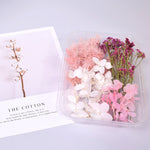 Natural Real Dried Flowers