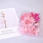 Natural Real Dried Flowers