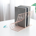 Electroplated Iron Book Stand
